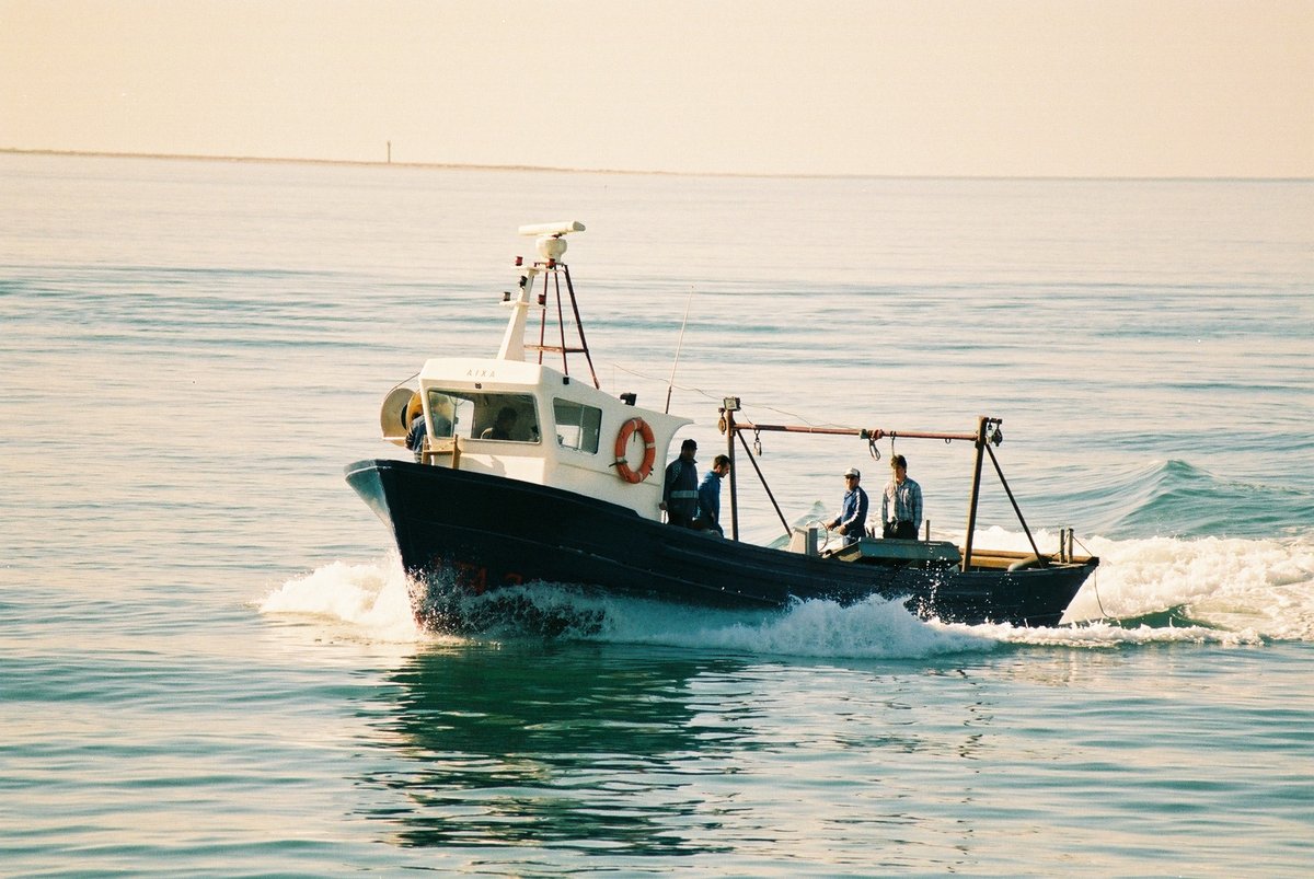 Imagen de Capitol 7 - 2000